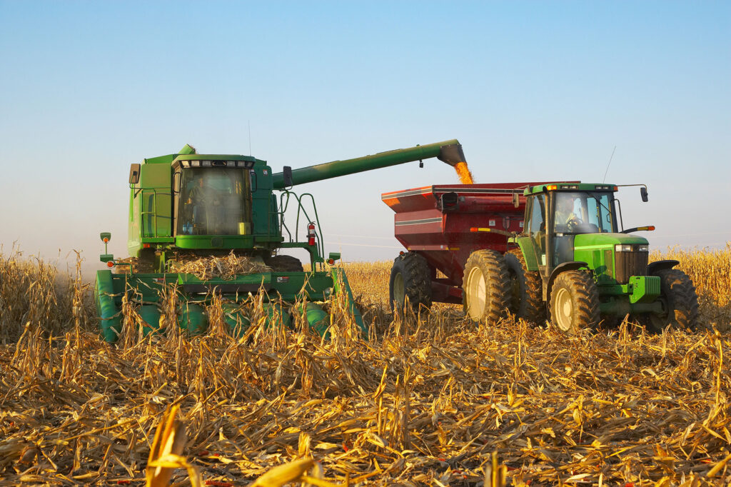 Zimbwini Farm Tanzania LTD.